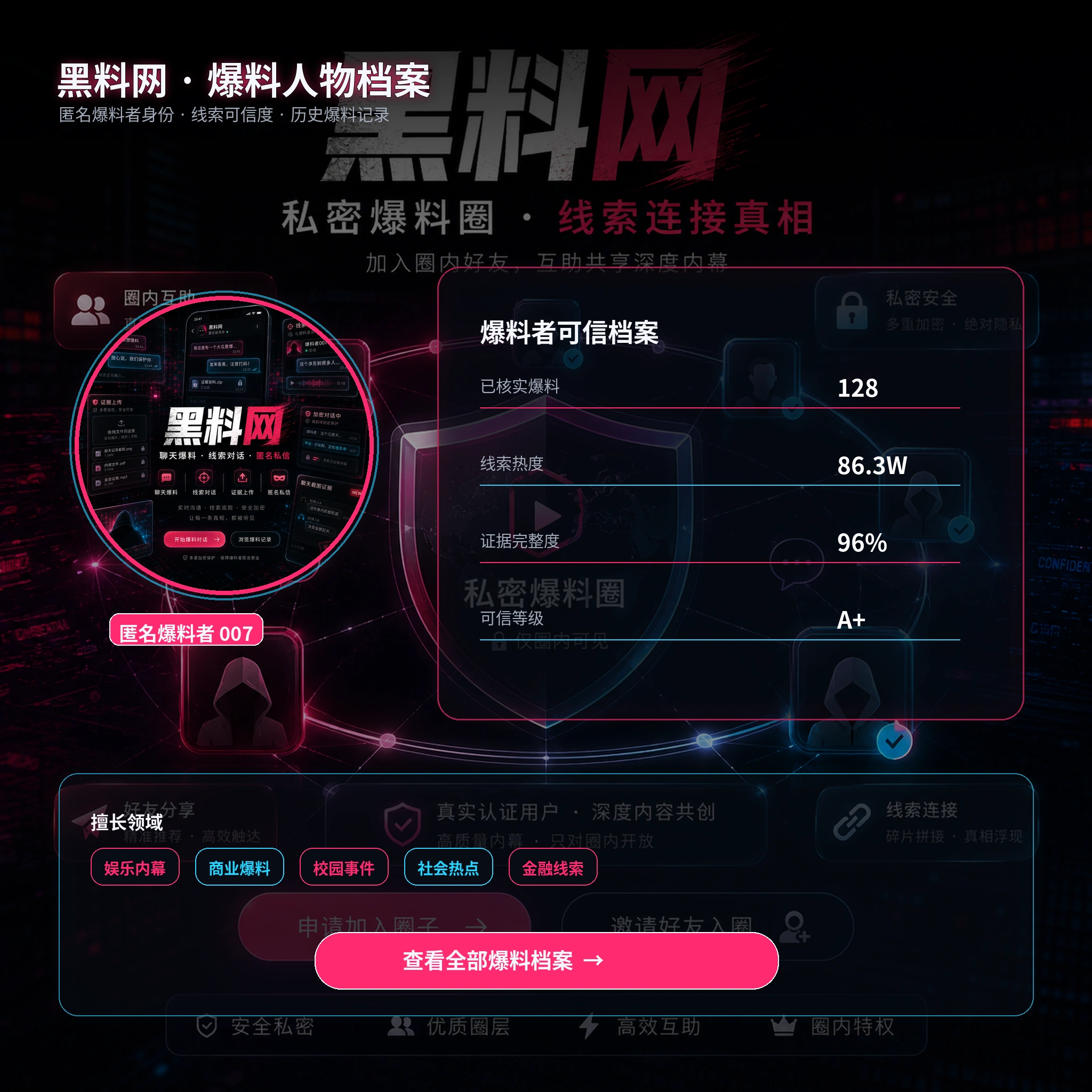 林岚公开职业资料与作品观察